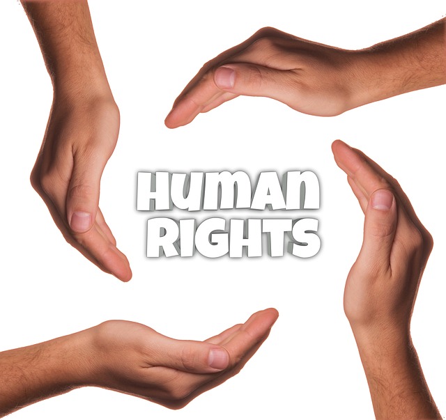 LOS DERECHOS HUMANOS La Ventana Ciudadana los-derechos-humanos-la-ventana-ciudadana