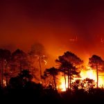 Incendios forestales y causas que los favorecen