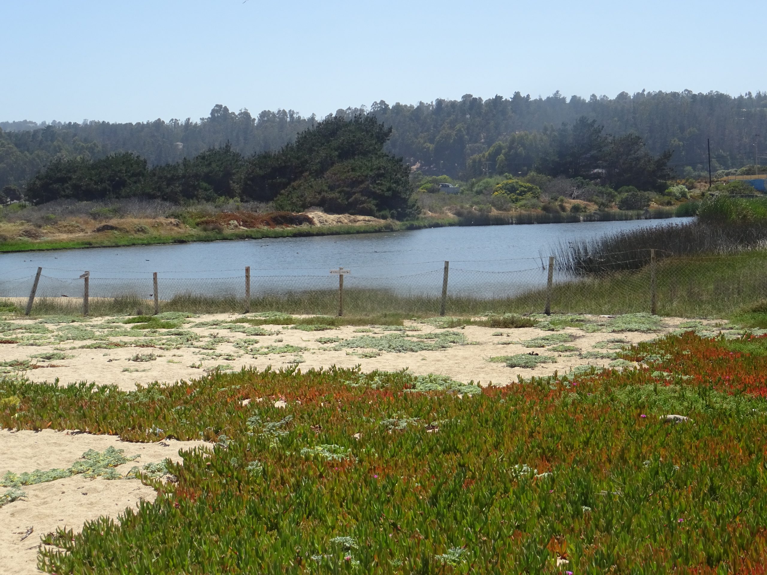 Humedales costeros y la llegada de veraneantes – La Ventana Ciudadana