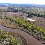 DE COLAPSOS Y DE ECOCIDIOS [*] [**]