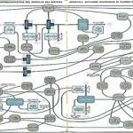 ¿Estamos al borde del colapso? Datos impresionantes de una recalibración de World3 [*]