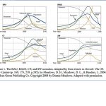 EL COLAPSO SE ADELANTÓ
