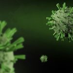 ¿Otra pandemia? Qué es el virus Nipah que afecta a India y cuál es el riesgo real para Chile