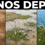 Soluciones de la Naturaleza. Efectivas y Económicas. (Parte II / II)