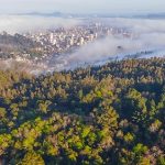 Biodiversidad y sustentabilidad: una nueva etapa para la Universidad de Concepción