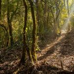 Campus Naturaleza: tres años de sembrar un futuro posible