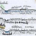 LA PETICIÓN DE FIRMAS “SALVEMOS LOS HUMEDALES Y LAGUNAS DE LA CORDILLERA DE NAHUELBUTA”