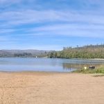 “SALVEMOS LOS HUMEDALES Y LAGUNAS DE LA CORDILLERA DE NAHUELBUTA” [*]